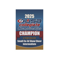USA College Champion Mini Banner