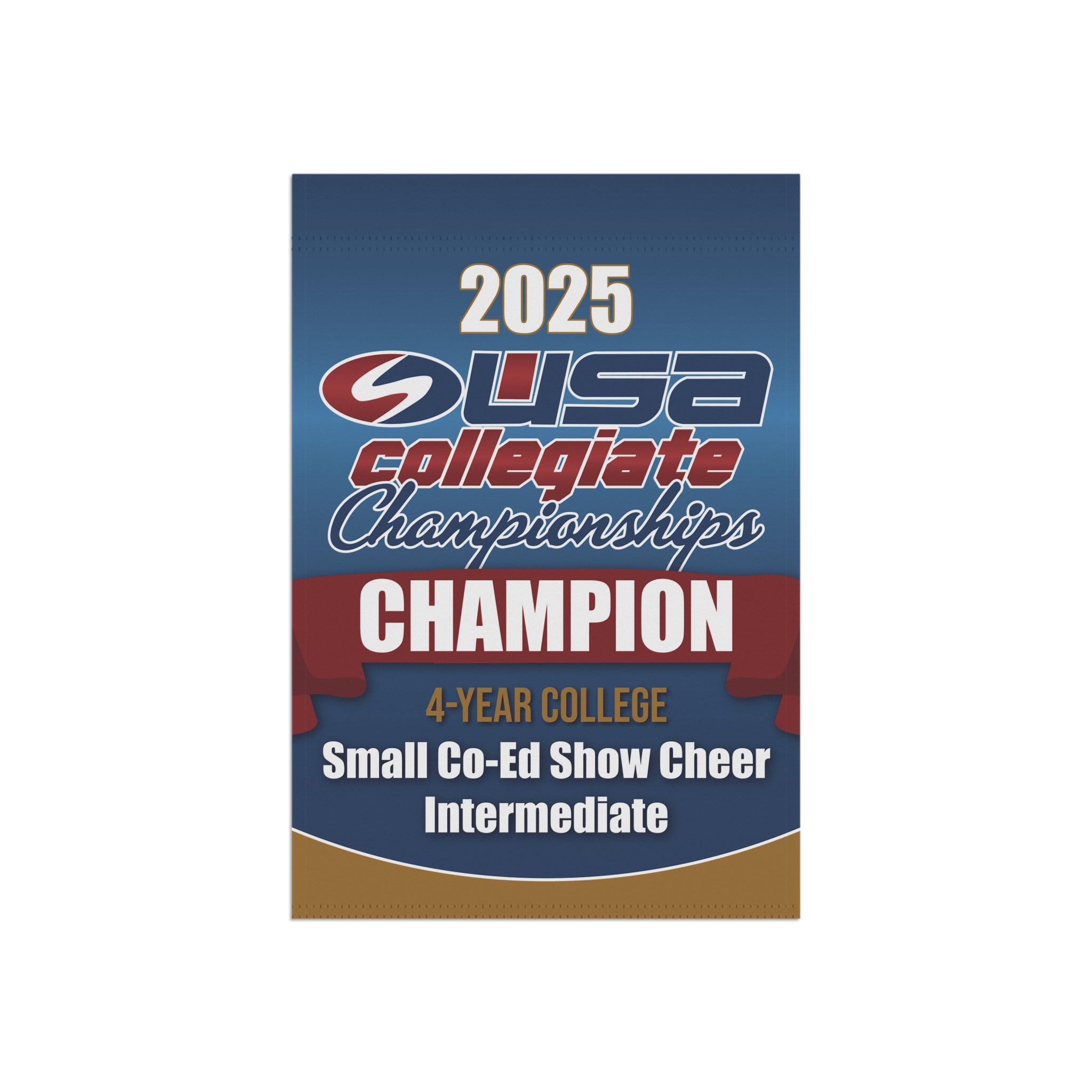 USA College Champion Mini Banner