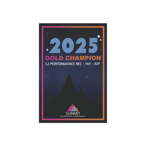 2025 Rec Summit Gold Champion Mini Banner