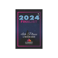 D2 Summit Finalist Mini Banner (2023-2024 Design)