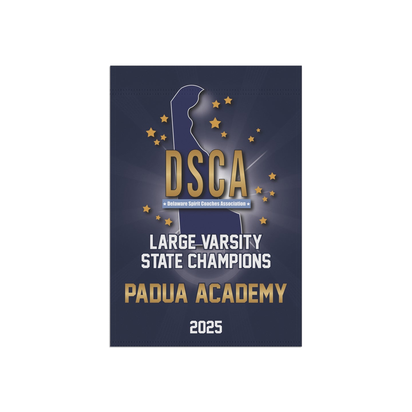 DSCA Mini Banner